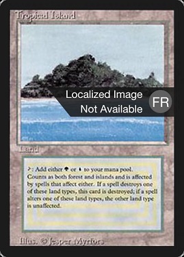 Tropical Island Foreign Black -Bordered